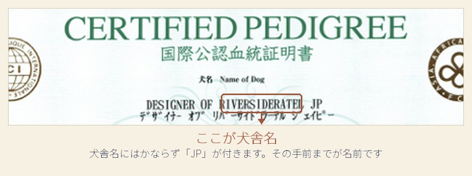 血統書の犬名の欄。OF のあとが犬舎名