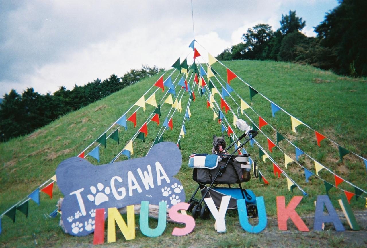 TOGAWA INUSYUKAI の看板とガーランド
