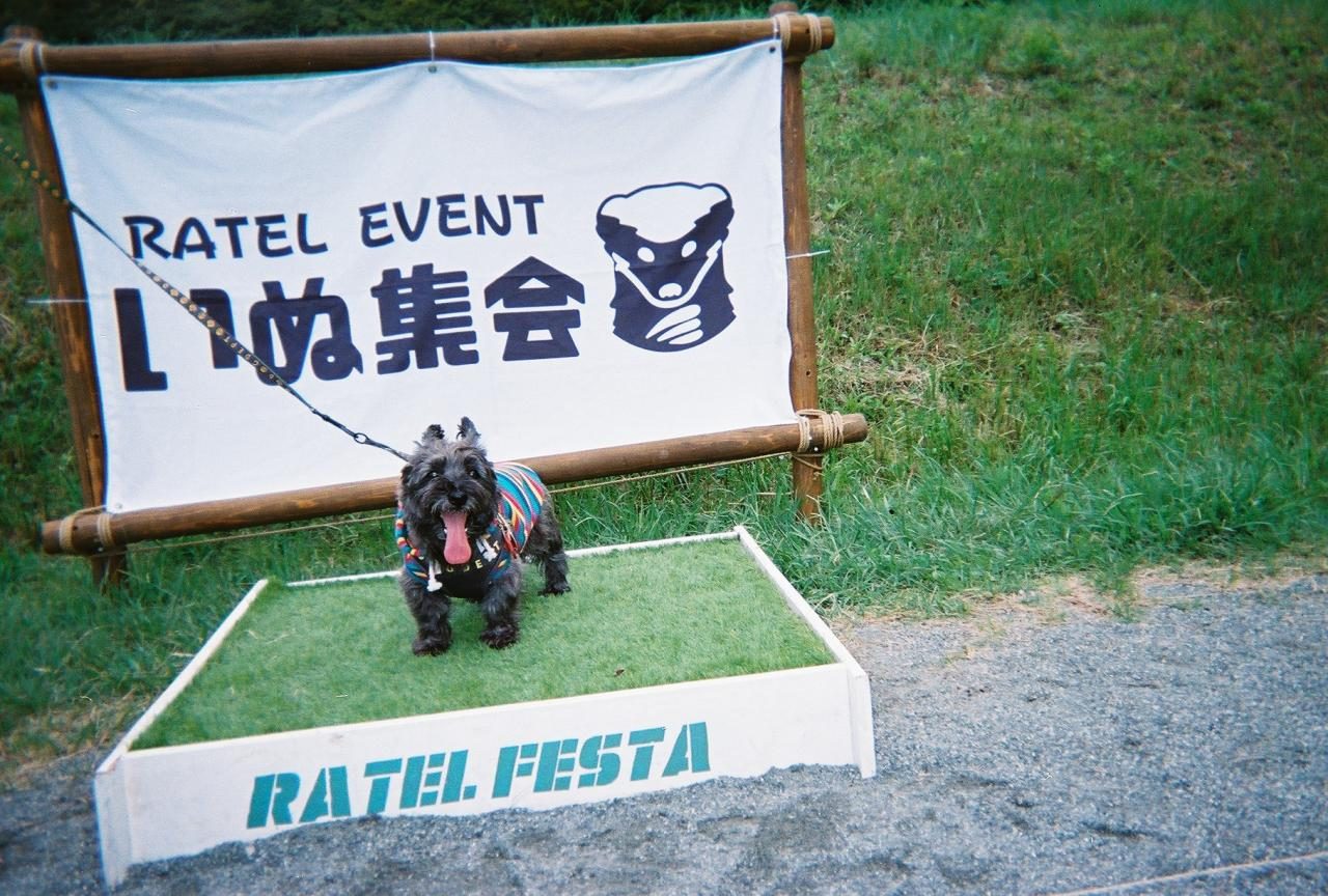 いぬ集会のバナーの前に座る犬