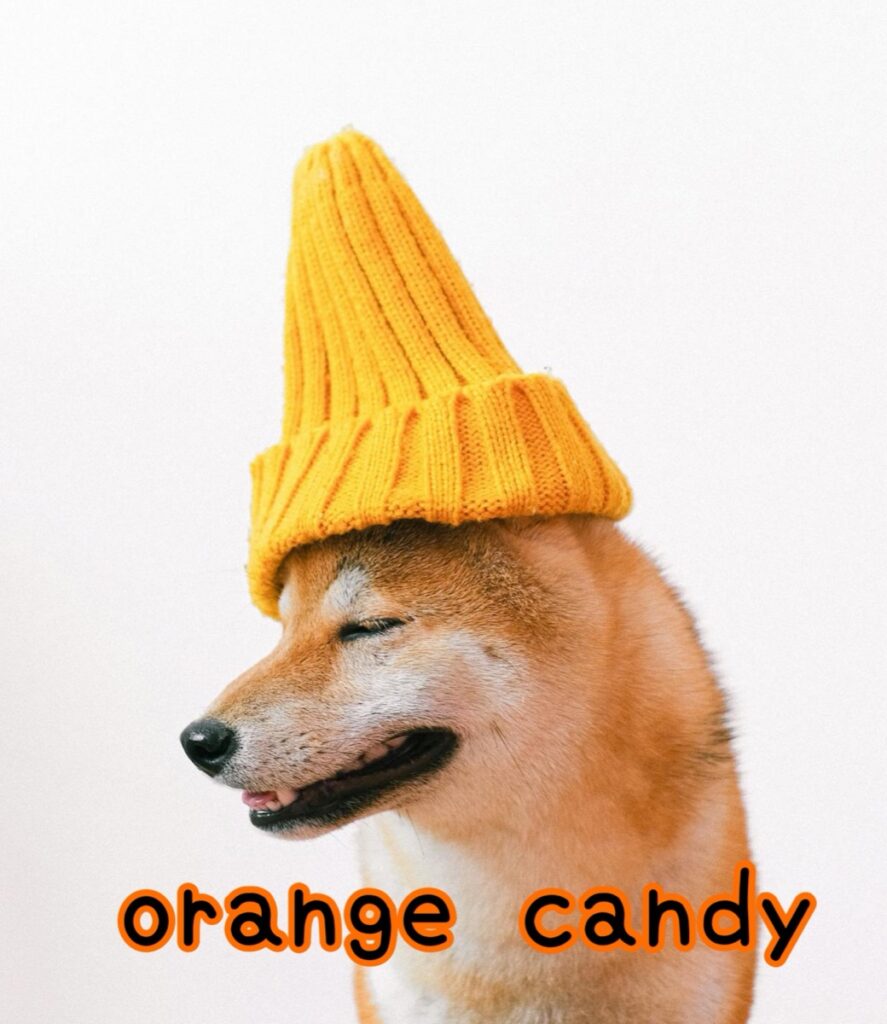 orange candy ロゴ