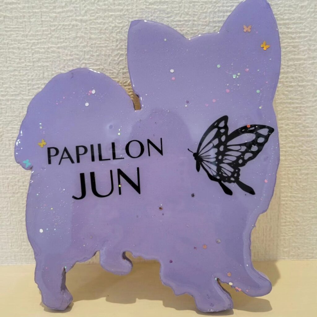 PAPILLON JUN ロゴ