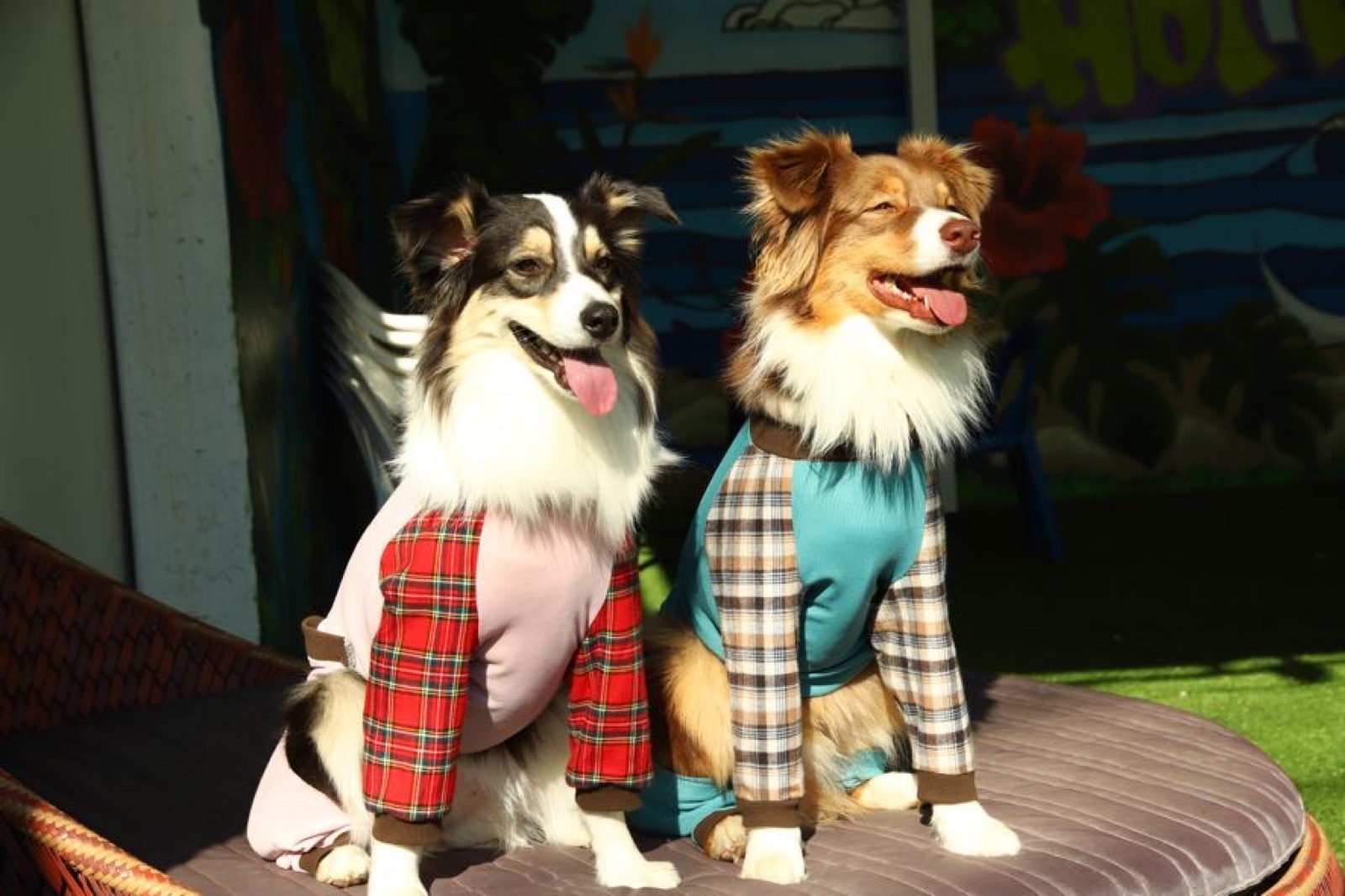 JANDS dogwear