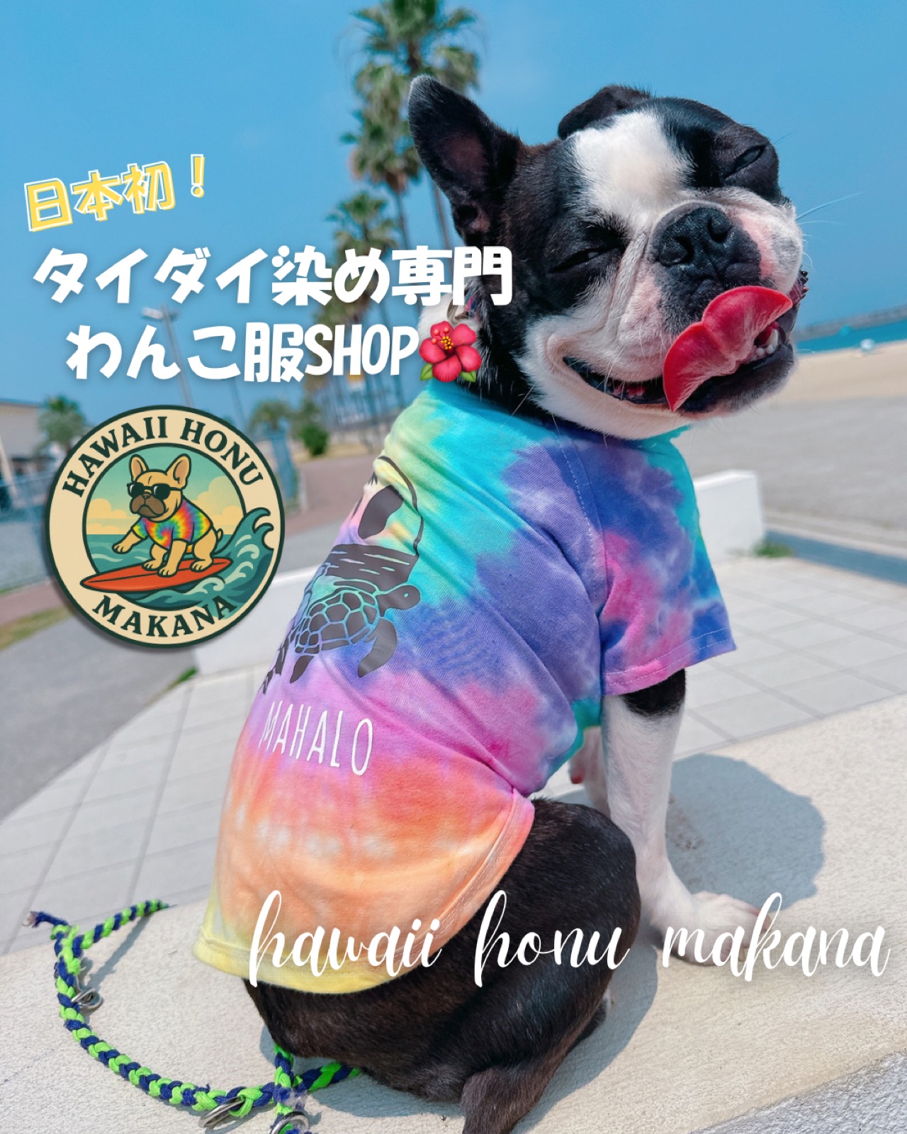 hawaii honu makana