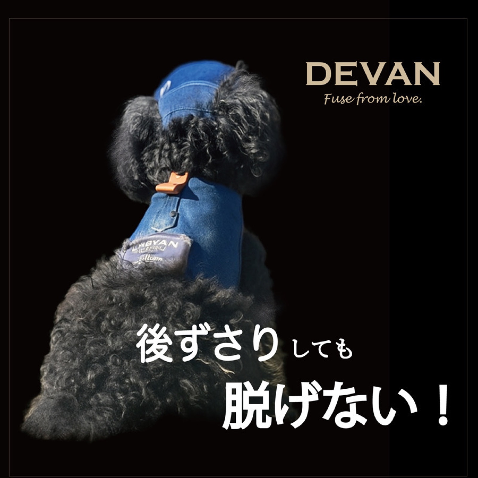 DEVAN