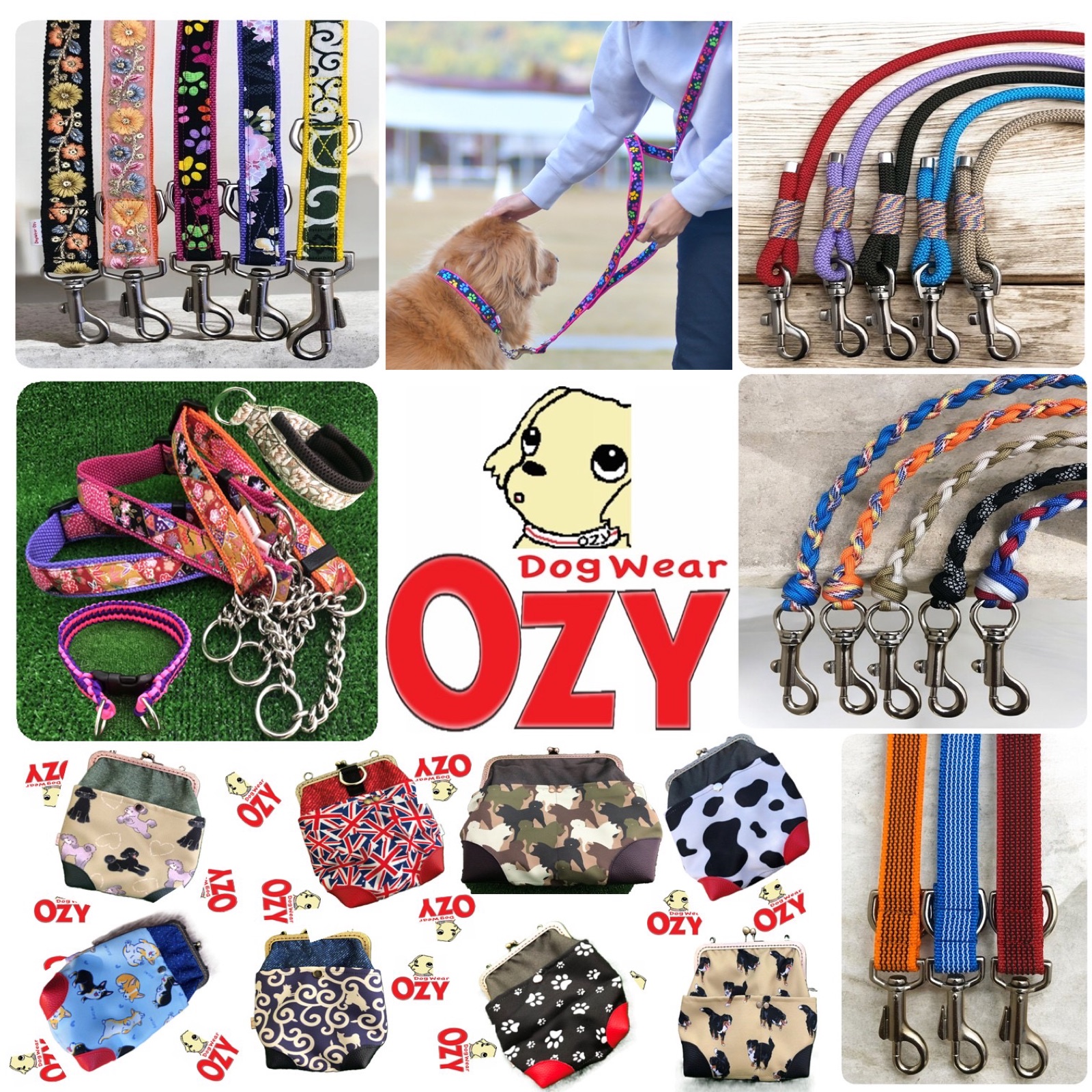 dogwear ozy