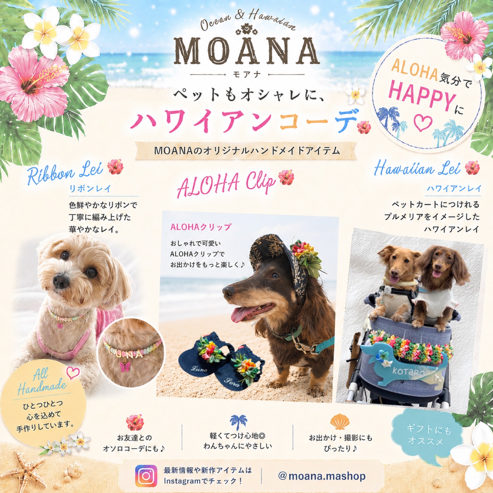 Moana／Cafe Merry