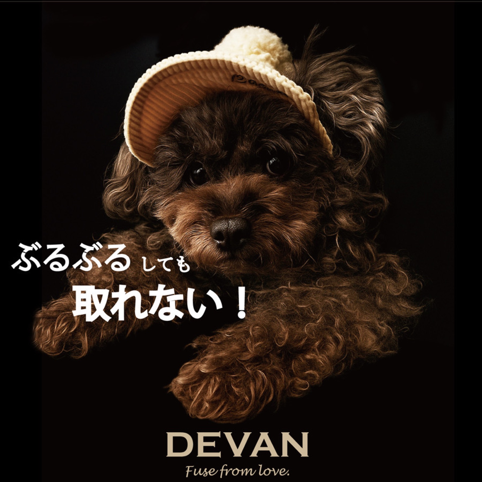 DEVAN
