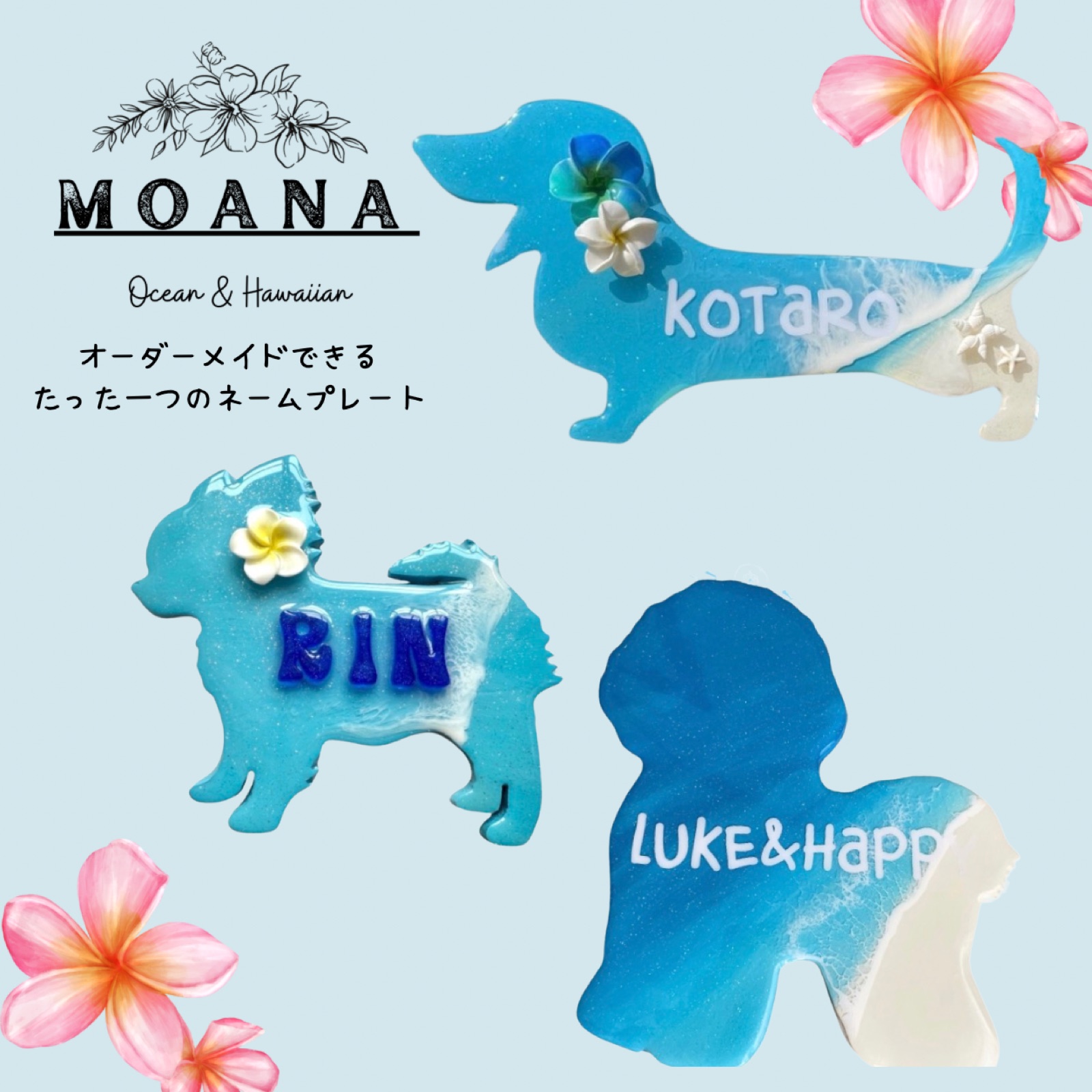Moana／Cafe Merry