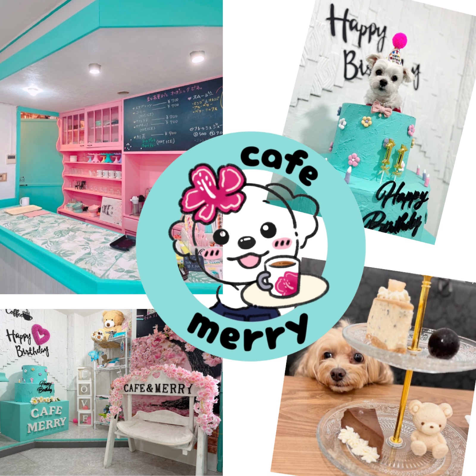 Moana／Cafe Merry