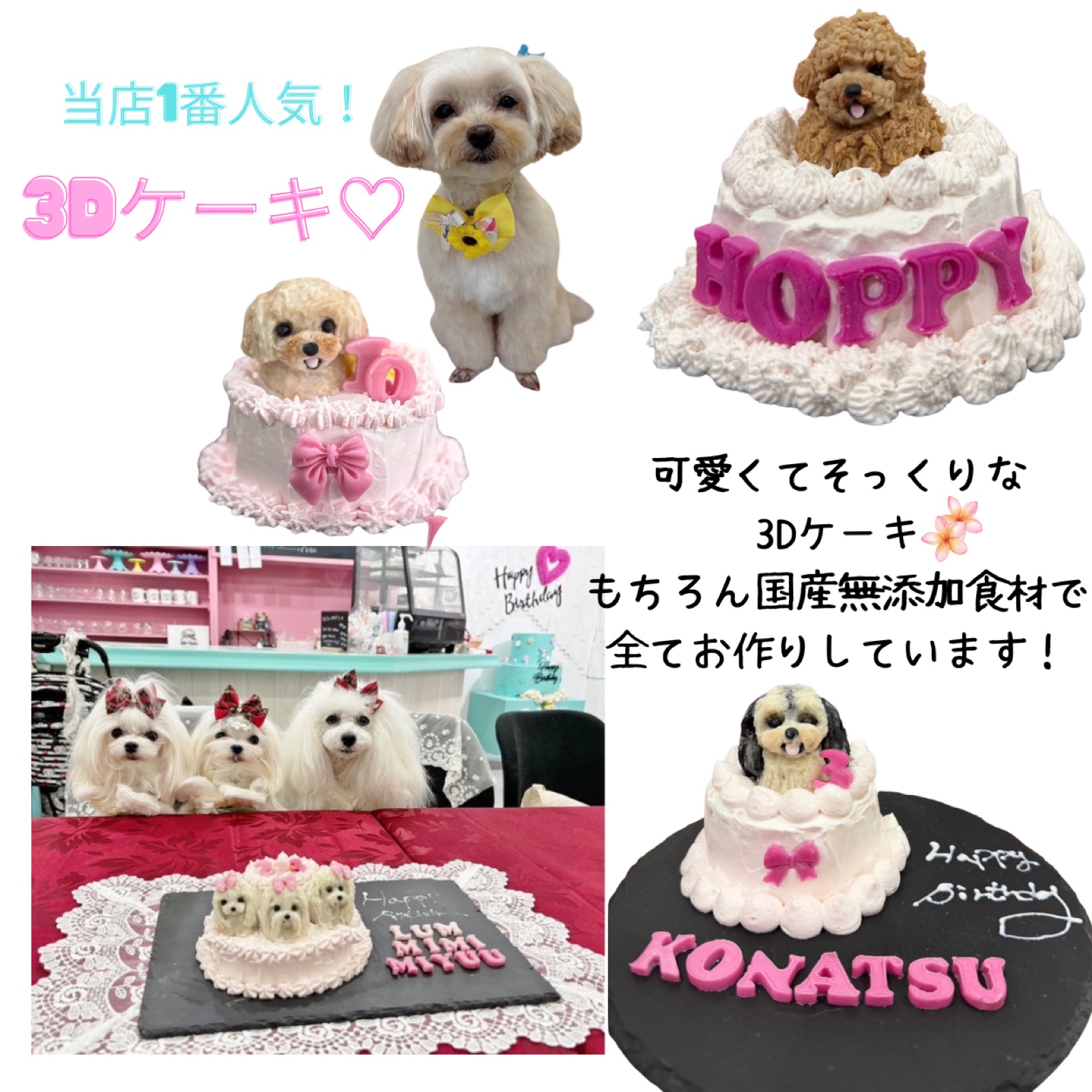 Moana／Cafe Merry