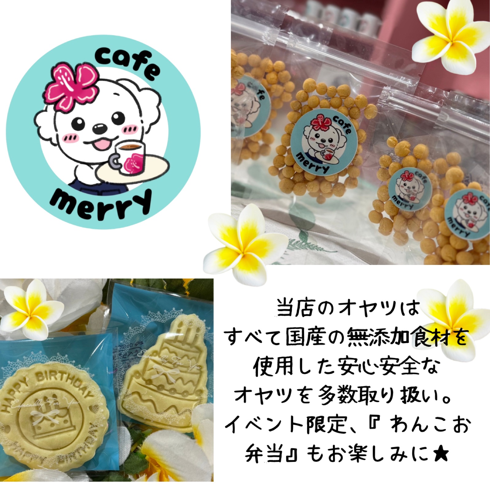 Moana／Cafe Merry