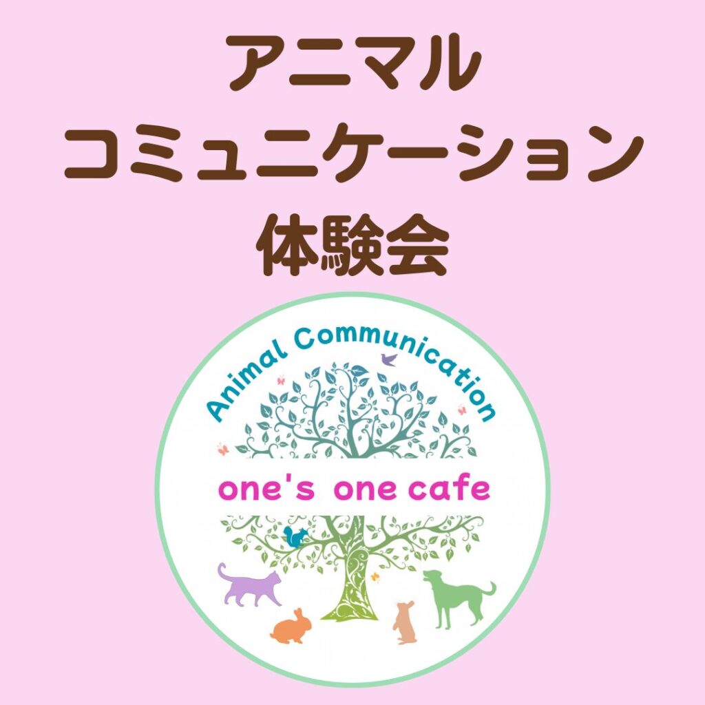one's one cafe ロゴ