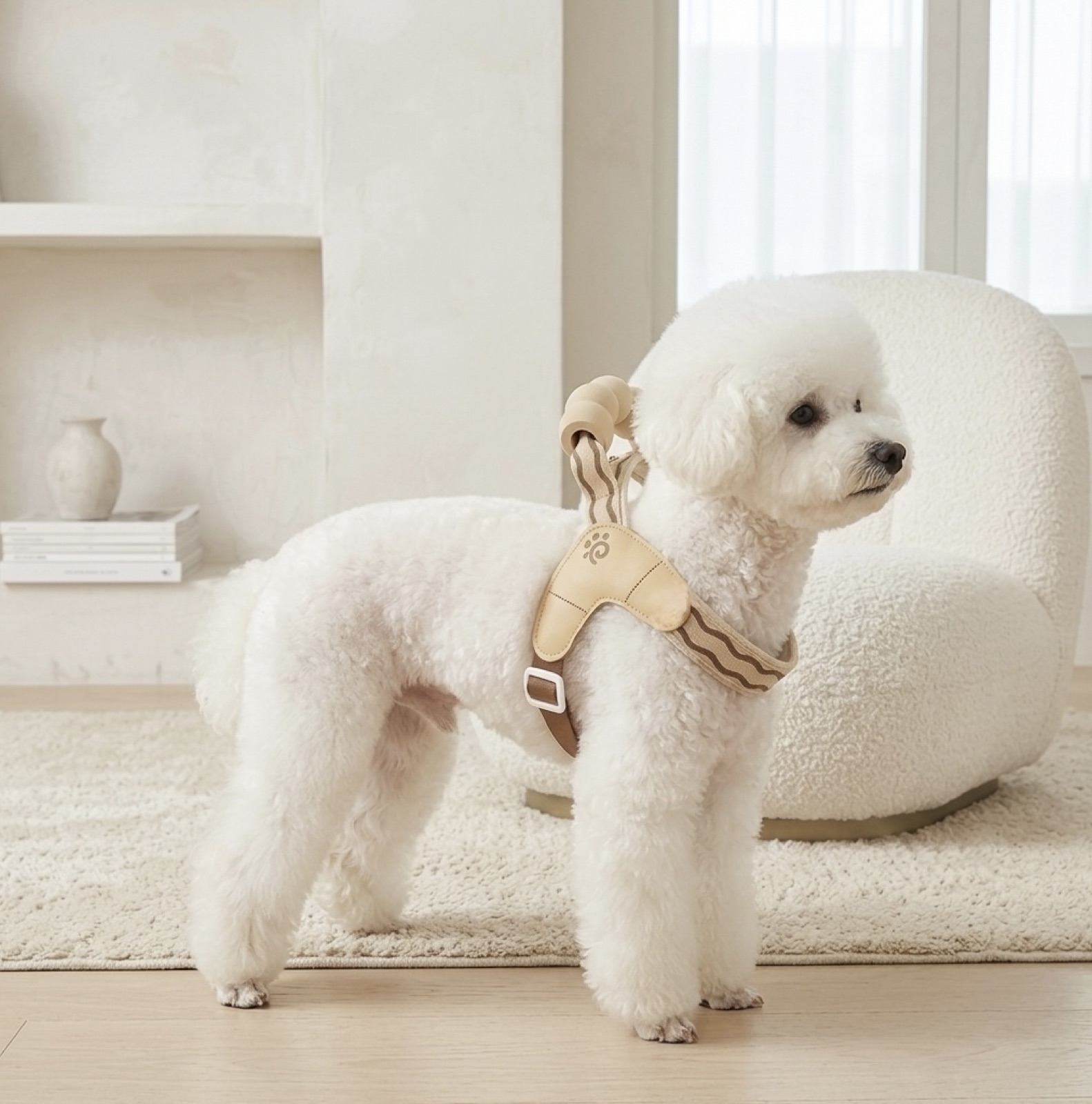 XAXA(ザザ)信州犬猫おやつと服飾雑貨